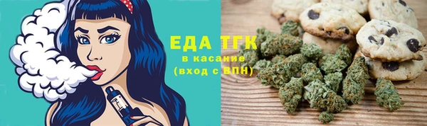 тгк Каменка