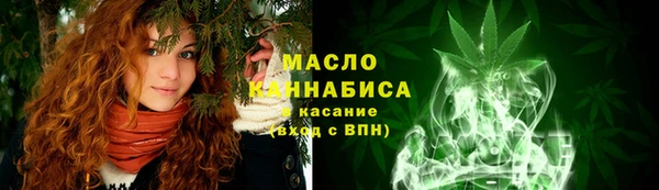 тгк Каменка